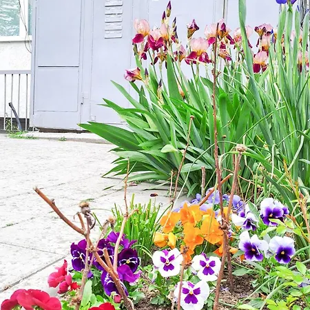 Διαμέρισμα The Lion's - домът на лъва *