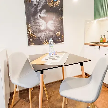 The Lion's - домът на лъва Appartamento