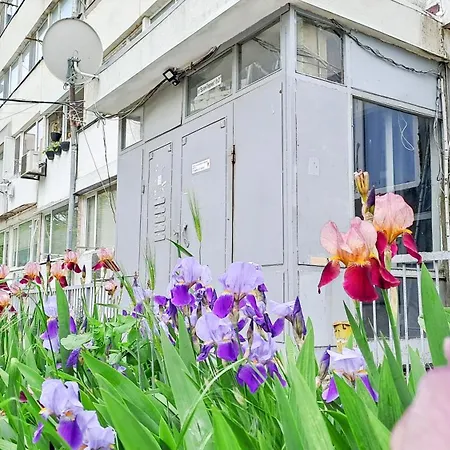 The Lion's - домът на лъва Apartament Varna