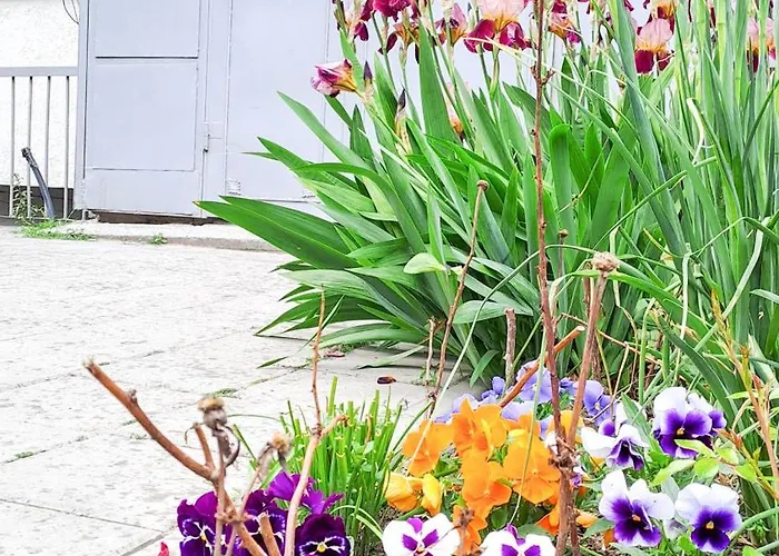 Lejlighed The Lion's - домът на лъва *