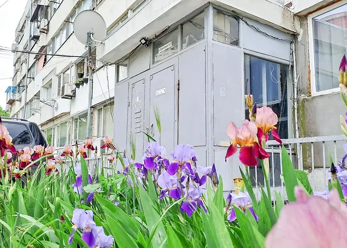 The Lion's - домът на лъва Lejlighed Varna