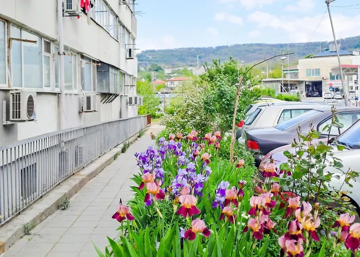 The Lion's - домът на лъва Lejlighed